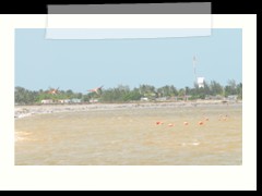 rio_lagartos_538