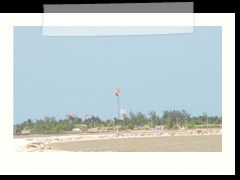 rio_lagartos_549