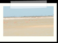 rio_lagartos_552