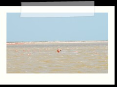 rio_lagartos_555