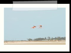 rio_lagartos_559