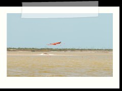 rio_lagartos_606
