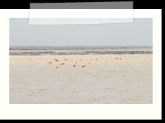 rio_lagartos_618
