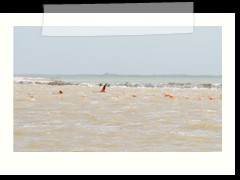 rio_lagartos_626