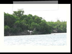 rio_lagartos_680