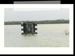 rio_lagartos_686