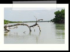 rio_lagartos_698