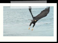 rio_lagartos_728