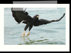 rio_lagartos_730