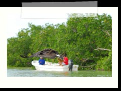 rio_lagartos_732