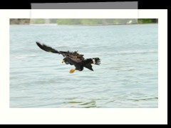 rio_lagartos_734