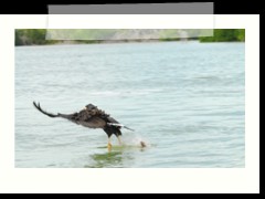 rio_lagartos_735