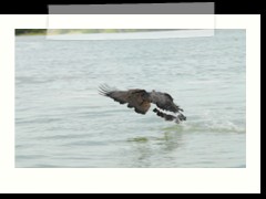 rio_lagartos_736