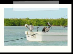 rio_lagartos_746