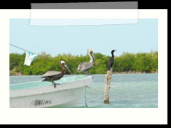 rio_lagartos_747