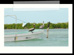 rio_lagartos_748