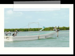 rio_lagartos_749