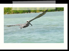 rio_lagartos_752