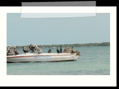 rio_lagartos_753
