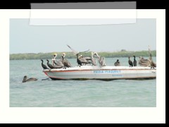 rio_lagartos_755