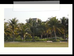 tulum_0775