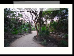 tulum_201