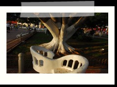 valladolid_451