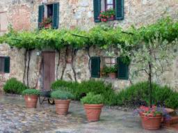 monteriggioni garden, ogród