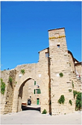 monticchiello_DSC_7622.JPG