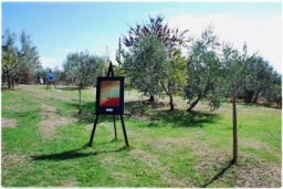 monticchiello_DSC_7633.JPG