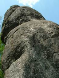 DSCF3740.JPG