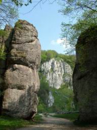 DSCF3743.JPG