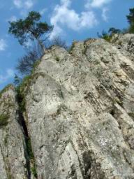 DSCF3897.JPG