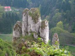 DSCF3933.JPG
