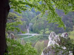 DSCF3936.JPG