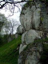 DSCF4013.JPG