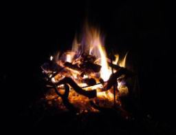 DSCF4078.JPG
