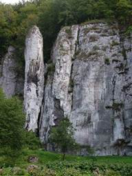 DSCF8581.JPG