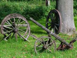 DSCF8586.JPG