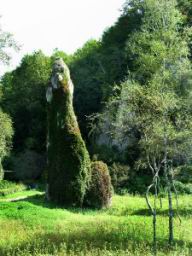 DSCF8590.JPG