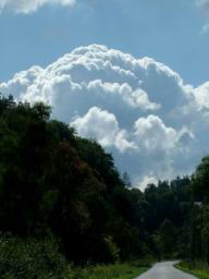 DSCF8593.JPG