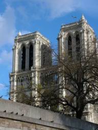 Katedra Notre Dame