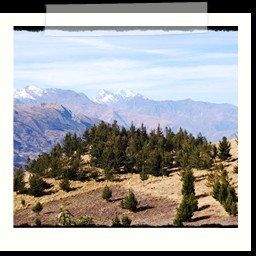 andahuaylas_DSC_3848