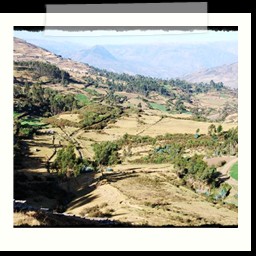 andahuaylas_DSC_3870