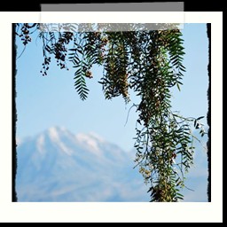 arequipa_011