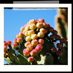 arequipa_022