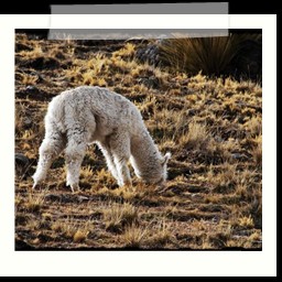 ayacucho_1_019