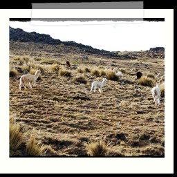 ayacucho_1_020