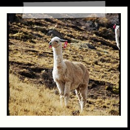 ayacucho_1_026