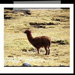 ayacucho_1_056